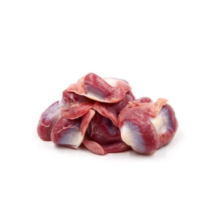 Gizzard